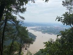 -铁山坪森林公园