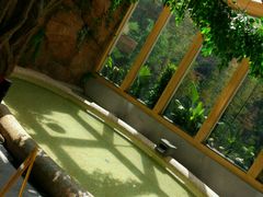 -御池园(顾村公园店)