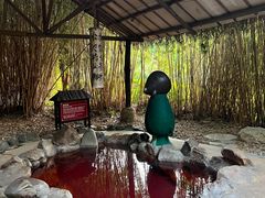 -森波拉火山温泉