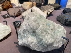 -浙江自然博物院(杭州馆)