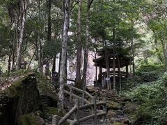 -姑婆山旅游区