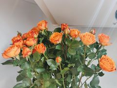 -北边的花店(泛悦城市广场店)