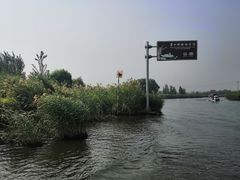 -白洋淀景区