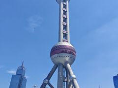 -上海大自然野生昆虫馆(东方明珠·爬宠昆虫探索中心)