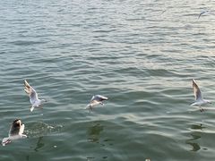 -蠡湖大桥公园