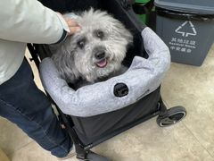 -美联众合动物医院·24h转诊中心