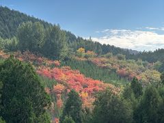 -佛慧山