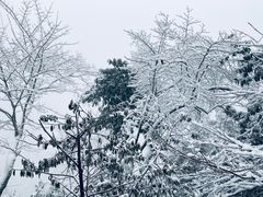 -九峰山