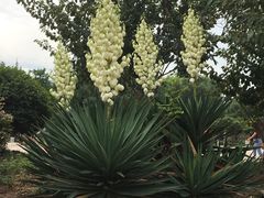 -济南国际园博园