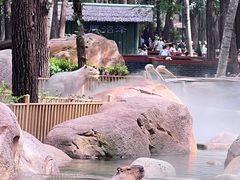 -北京野生动物园