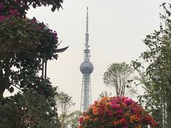 -文华公园(禅城区)