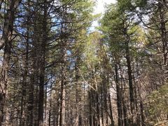 -白草畔自然风景区