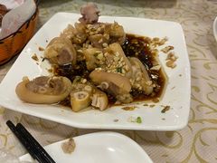 -百利鸽王(紫薇路店)