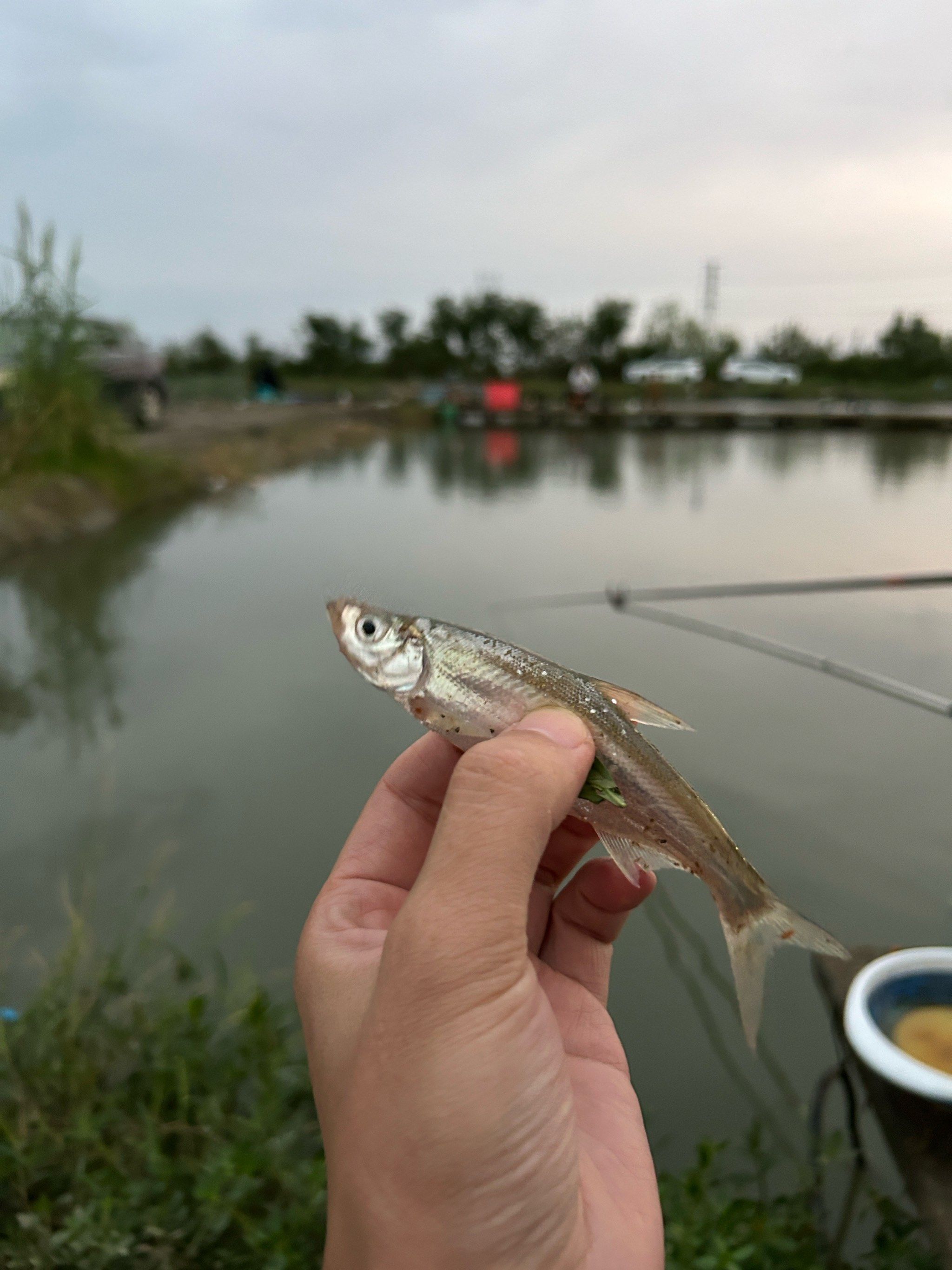 
#一起去钓鱼 #钓鱼的乐趣只有钓鱼人懂