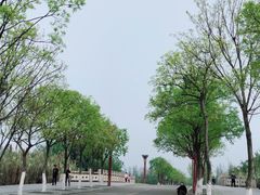 -眉山湿地公园(东坡区)