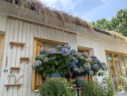 -DORA kids 朵拉儿童摄影花园店