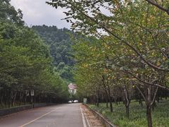 -团城山公园