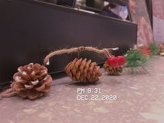 -gaga(深圳南山益田假日广场店)