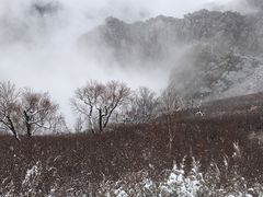 -克什克腾世界地质公园青山景区
