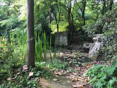 -南山植物园