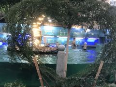 -天怡·鱼工厂(临江店)