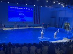 -石家庄极地海洋世界