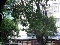 -祈胜邨•顺德鱼生•顺德菜(容桂店)