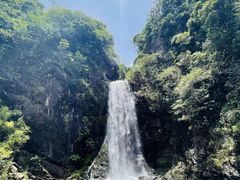 -马峦山郊野公园