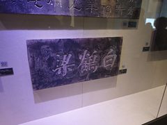 -白鹤梁水下博物馆