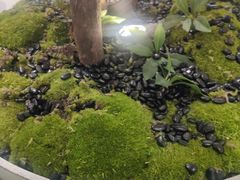 -喜茶(深圳东门1234店)