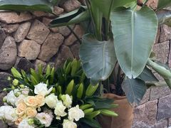 -MOJ coffee(瓯海泽雅水碓坑店)