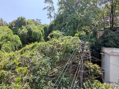 -城外有星光桥舍(南山店)