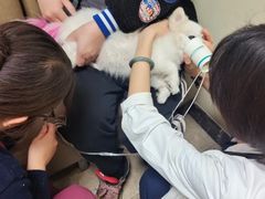 -美联众合动物医院·24h转诊中心