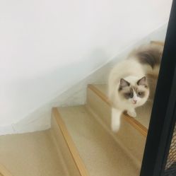 -壹舍美肤SPA中心