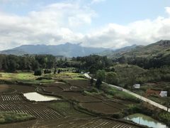 -五娭毑臭豆腐(黄兴南路店)