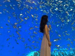 -合肥海洋世界