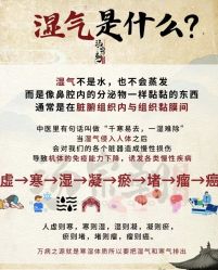 -玛莲朵·海菲秀冰珀科