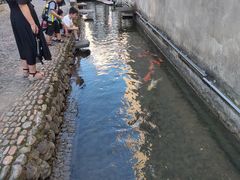 -前童古镇