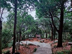 -梧桐山风景名胜区