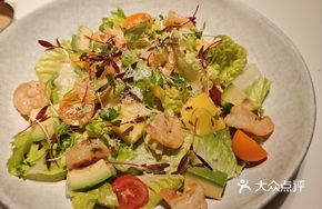 Vegetable and Fruit Garden Salad