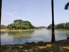 -海上田园