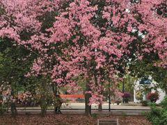 iphone_upload_pic-广州大学(桂花岗校区)