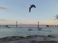-星海广场