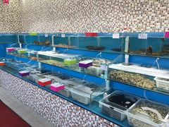 -港畔赶海蒸汽海鲜烧烤自助(仙螺岛店)