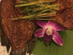 -紫滇源云南生态菜(丹凤街店)
