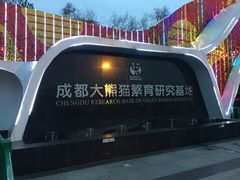 景点-成都大熊猫繁育研究基地