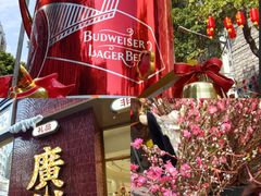 -越秀西湖花市(广州城市广场花卉店)