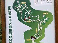 -都江堰中华大熊猫苑