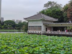 -荔湾湖公园