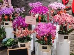 -豆豆花艺(新光天地店)